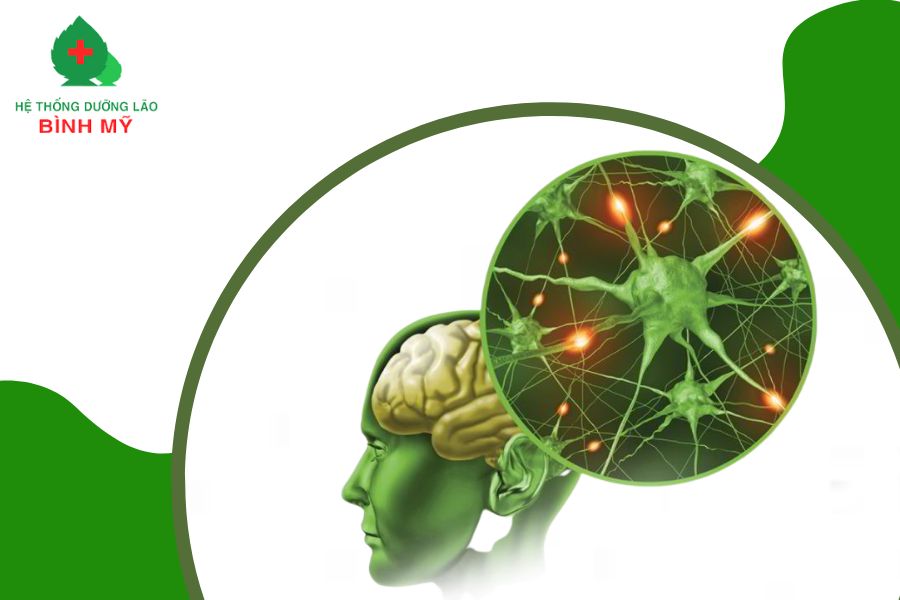 Nguyên nhân và cách điều trị bệnh teo não ở người già