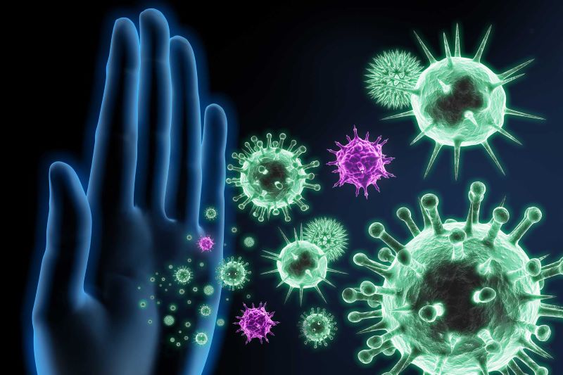 Hệ miễn dịch là một hệ thống được thiết kế để bảo vệ cơ thể khỏi các tác nhân gây bệnh.