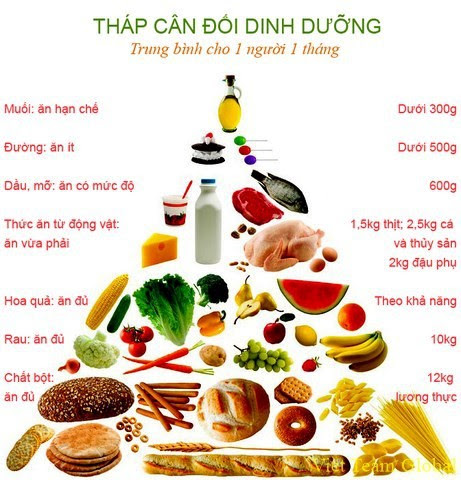 Tháp cân đối dinh dưỡng