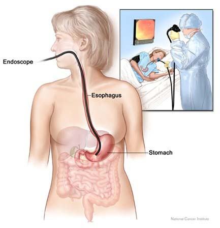 Xây dựng chế độ dinh dưỡng cân đối và phù hợp với nhu cầu cụ thể của từng người bệnh