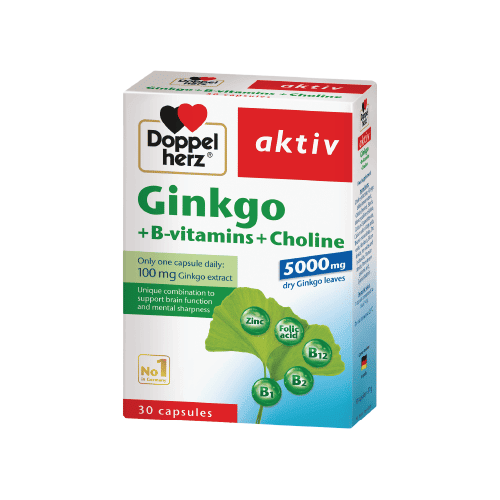 Doppelherz Aktiv Ginkgo + B-Vitamine + Cholin