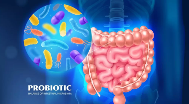 robiotics giúp khôi phục hệ vi sinh đường ruột