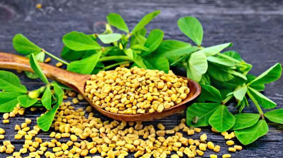 hạt cỏ cà ri
