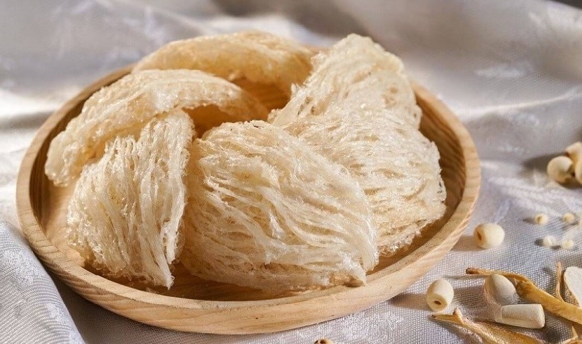 Yến sào là thực phẩm bổ dưỡng dành cho người cao tuổi