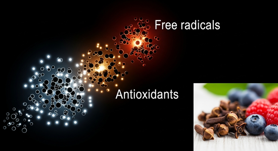 Chống oxy hóa với đinh hương