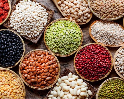 Nguồn protein thực vật cho người cao tuổi như đậu nành, đậu lăng, và các loại hạt thường dễ tiêu hóa