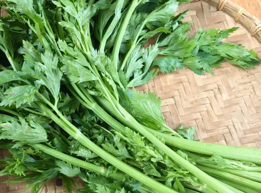 Rau cần tây hạn chế nếu người cao tuổi bị huyết áp thấp