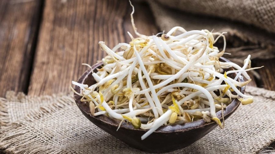 Giá đỗ sống dễ nhiễm khuẩn, gây rối loạn tiêu hóa